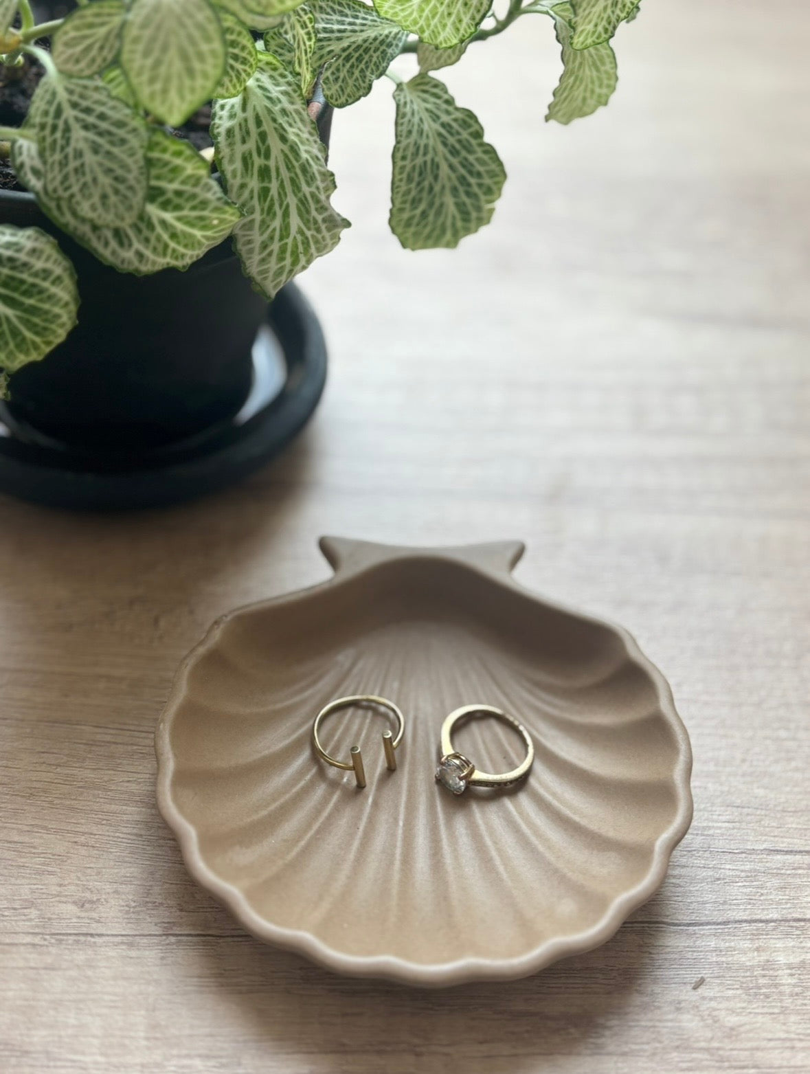 Vide-poche "coquillage"