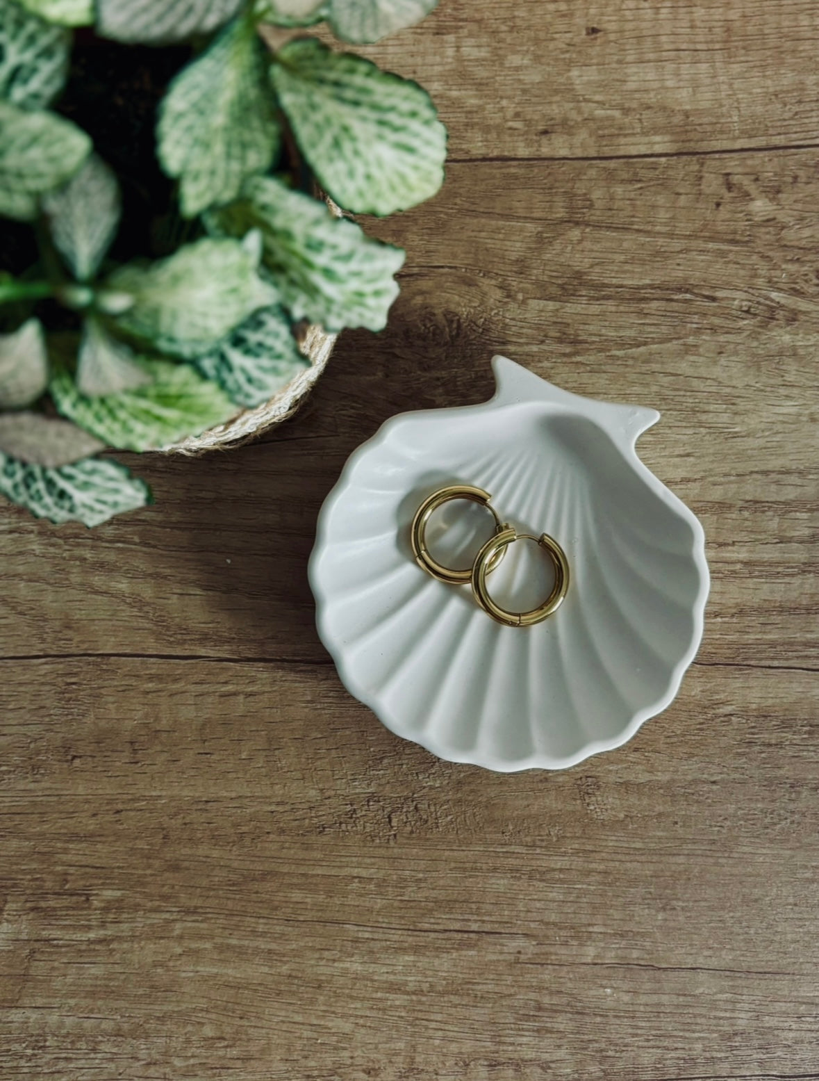 Vide-poche "coquillage"